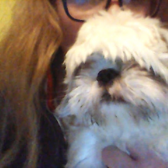 Meet your Posher, Lina - Picture 1 of 1